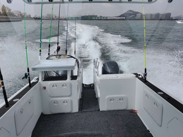 Embarcación pesquera tipo catamarán de aluminio de alto rendimiento, soldada y construida a medida, de 7,3 m, a la venta Aún no hay opiniones