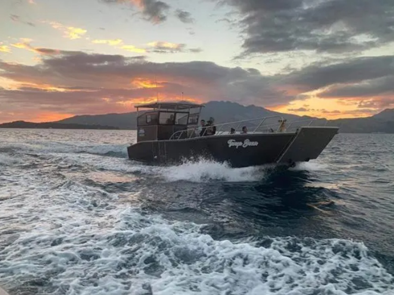 Características principales de la embarcación de desembarco de aluminio de 11 m