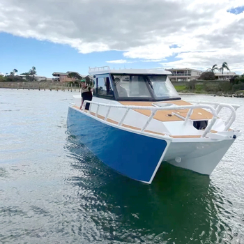 Barco catamarán de 7,9 m