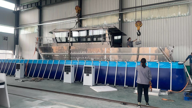 Yate de lujo de aluminio del barco de vela del catamarán del yate de velocidad del pasajero del 11,6m